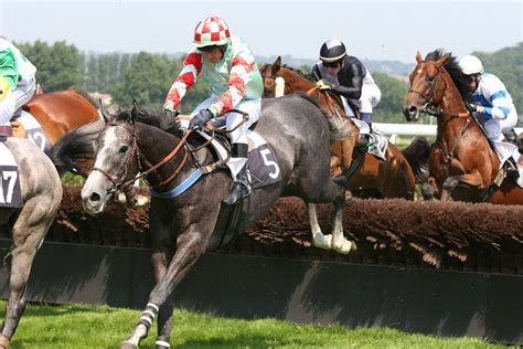 a to z horses running today|Today's Horse Racing Racecards .